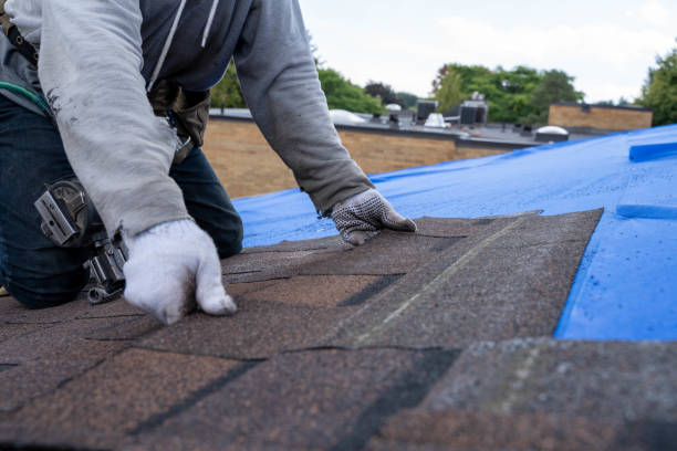 Best Commercial Roofing Services  in Troy, IL